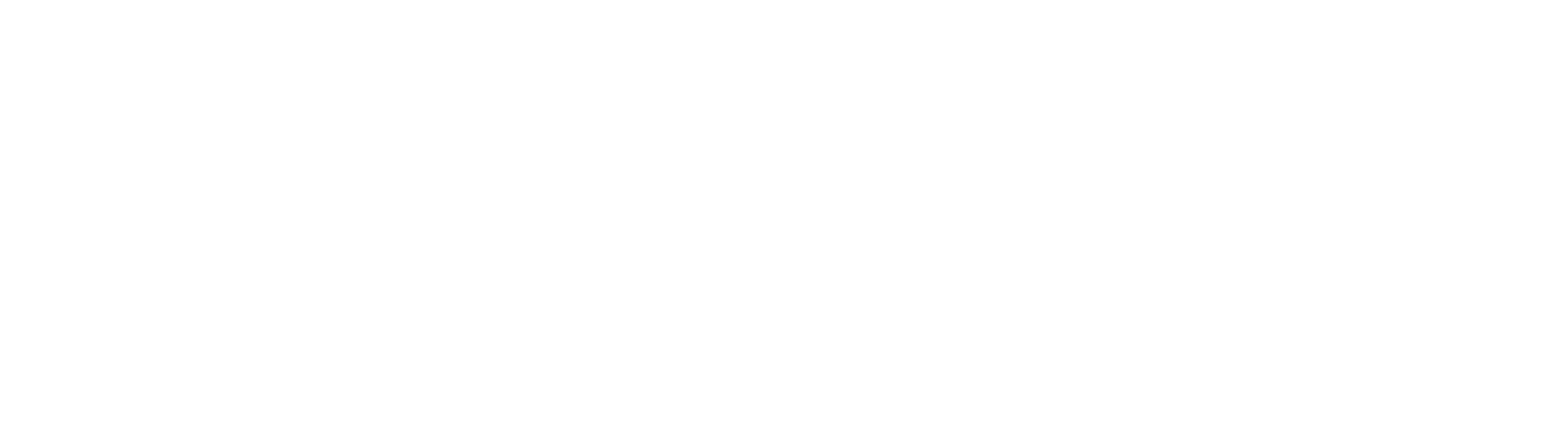Logo Dr. Max